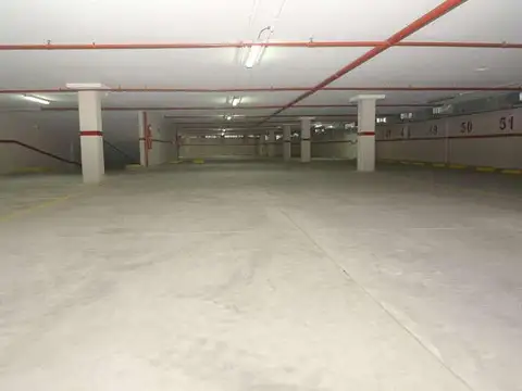 Pellegrini Carlos al 600