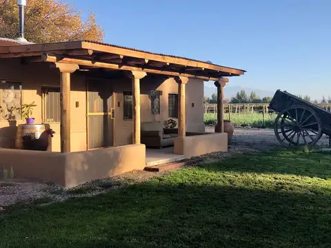 Viñedo y Refugio para huéspedes en Valle de Uco