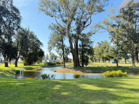 Terreno en Venta de 806,0 m2