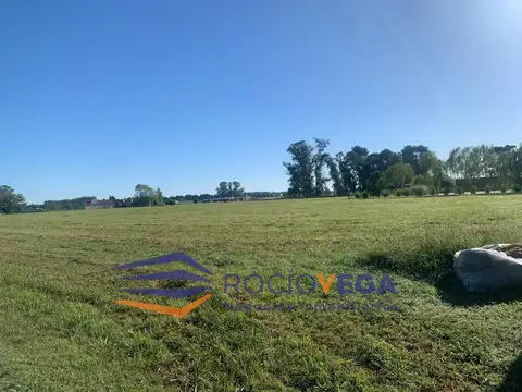 Terreno en Venta 50  mts Fondo