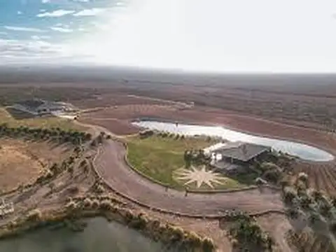 VENTA CAMPO DE 95 HA RUTA N°86