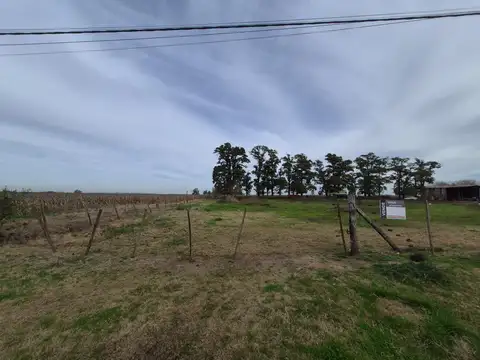 Campo en Venta de 3,50  ha