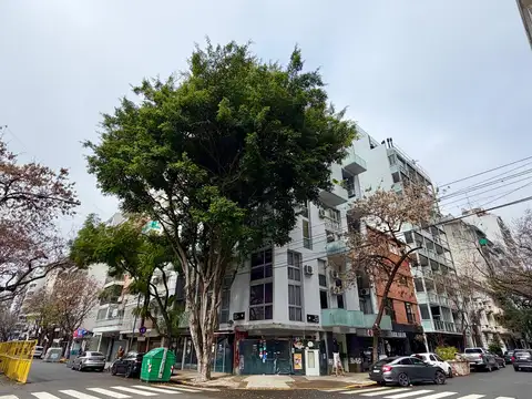 VENTA DEPARTAMENTO PALERMO CHICO 3 AMBIENTES