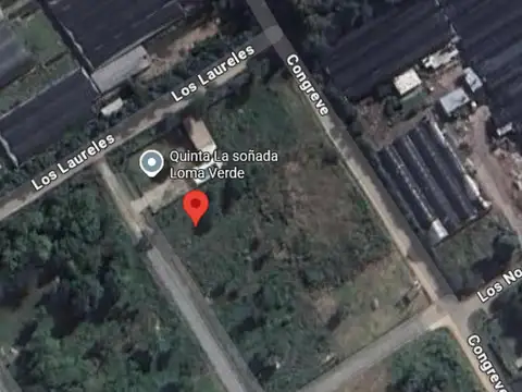 Los Laureles y Congreve