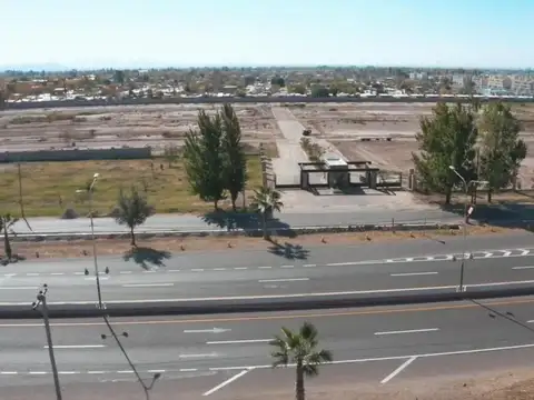 Terrada y Juan Jose Paso