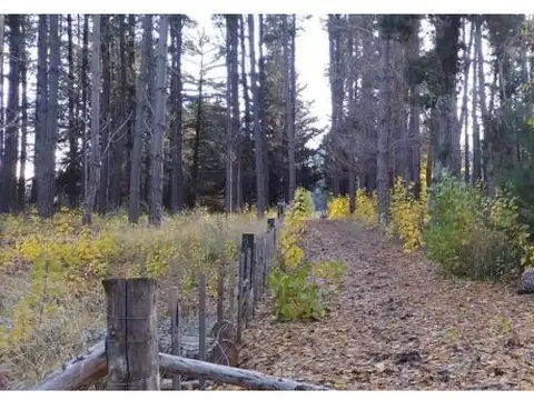 Terreno en Venta de 20000,0 m2