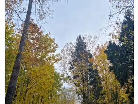 Terreno en Venta en Lago Puelo, USD 185.000