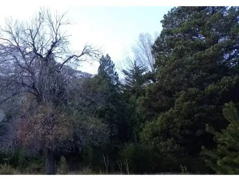 Terreno en Venta de 20000,0 m2