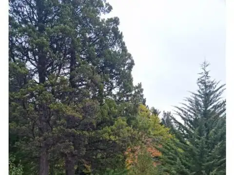 Terreno en Venta de 20000,0 m2