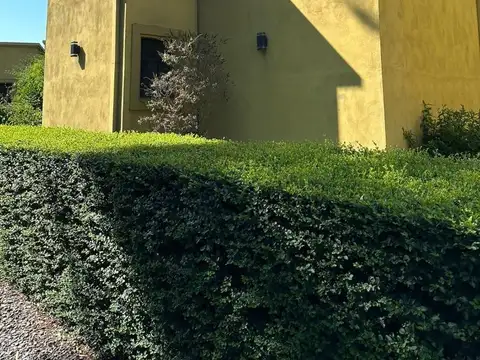 Todo el