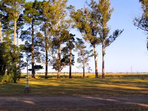 Terreno en Venta en Mar Chiquita, USD 20.000