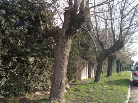 OPORTUNIDAD ! LOTE DE  2.983 m2 en NAVARRO