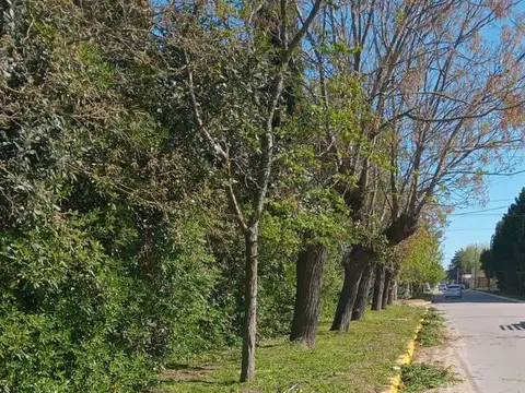 Terreno en Venta en Navarro, USD 119.000