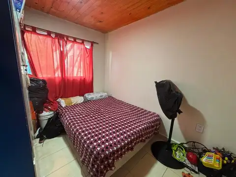 Rafael de Urbino 700