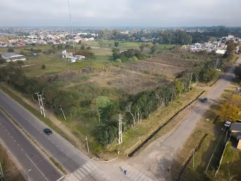 Hectáreas venta Hernández Avenida 31