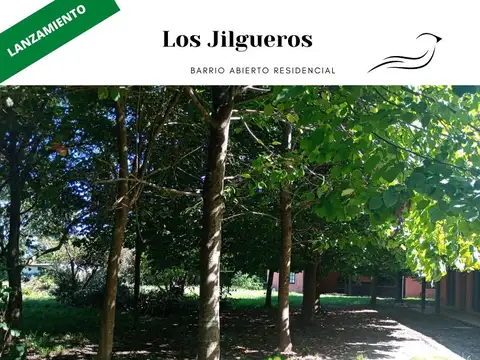 Terreno en Venta 42  mts Frente