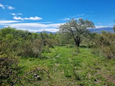 Sin Nombre , Piso 0