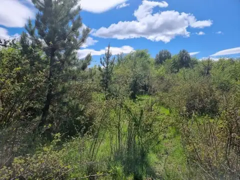 Terreno en Venta en Trevelin, USD 30.000