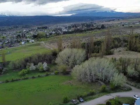 Antonio Miguens - Quinta 3