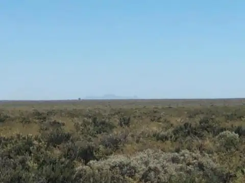 Campo La Pampa