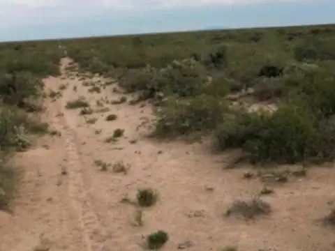 Campo La Pampa