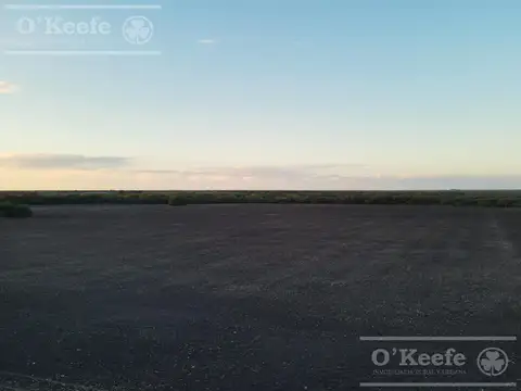 Campo en venta de 520 has mixtas en Entre Rios