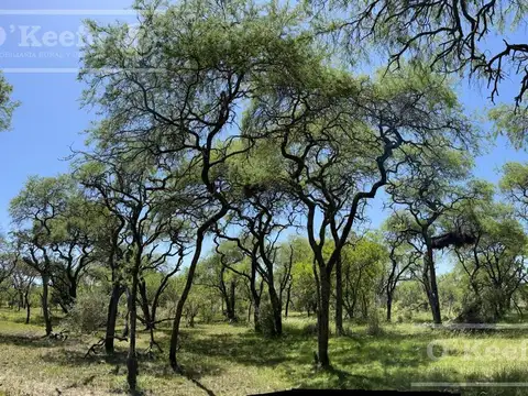 Campo en venta de 526 has mixto,   Entre Rios