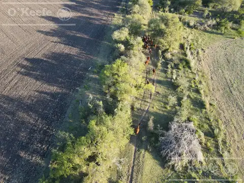 Campo en venta de 526 has mixto,   Entre Rios