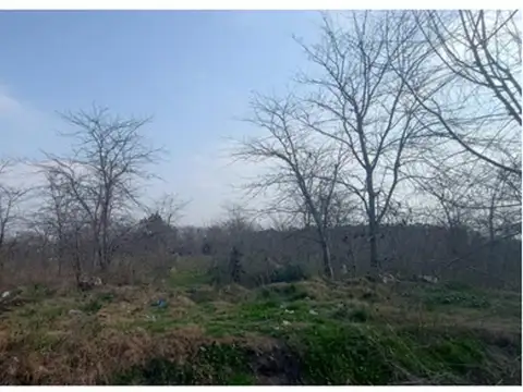 Venta 3,4 Hectáreas En Guernica, A Pocos Metros De Ruta 210