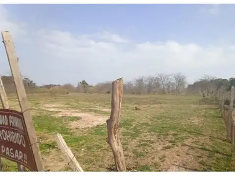 Fray Luis Beltran 100