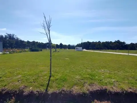 Av. Atlantida
