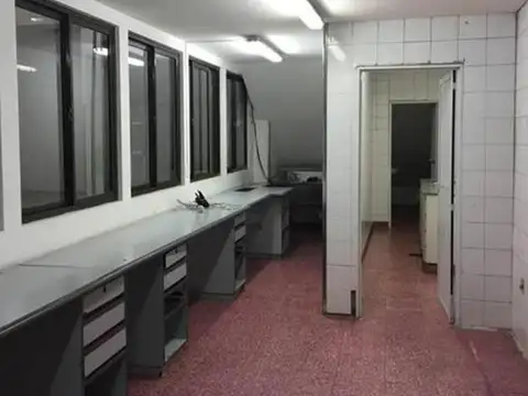 Alfredo Palacios al 1100