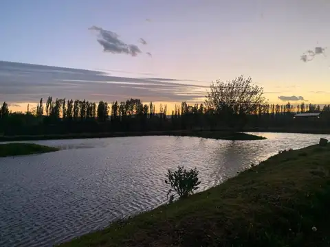 VENTA DE LOTE SAN RAFAEL COMPLEJO MIRAVIÑAS