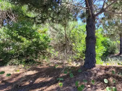 Terreno en Venta de 1000,0 m2