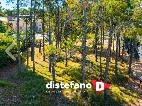 Terreno - Venta - Argentina, PINAMAR