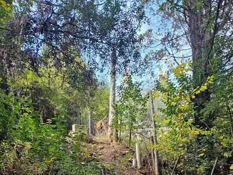 Terreno en Venta de 3615,0 m2