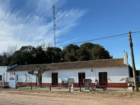 Dos Lotes Rurales en Venta – 130.000 m² Totales con Acceso Directo sobre Camino Mejorado