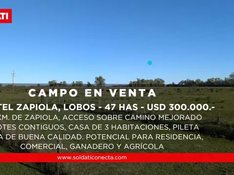 47 has en venta con casa y pileta, Acceso sobre Camino Mejorado en Zapiola, Partido de Lobos
