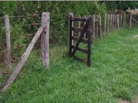 Dos Lotes Rurales en Venta – 130.000 m² Totales con Acceso Directo sobre Camino Mejorado