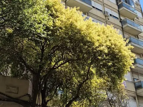 Venta Departamento 2 Dormitorios Rosario Centro