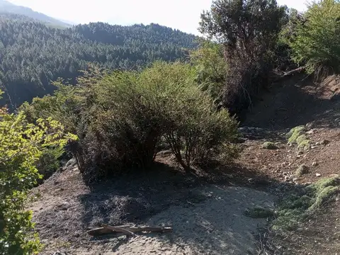 Terreno en Venta en San Martin De Los Andes, USD 160.000