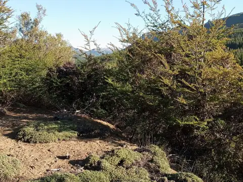 fracción H lote 2, 3 y 4