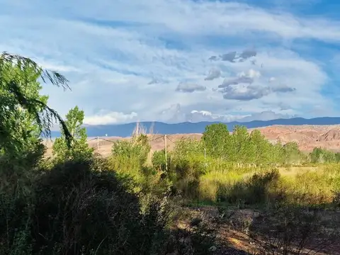 VENTA TERRENO 1.800 M2 BARREAL. ZONA PREMIUM