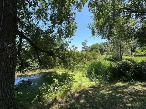 Terreno en Venta 98  mts Fondo