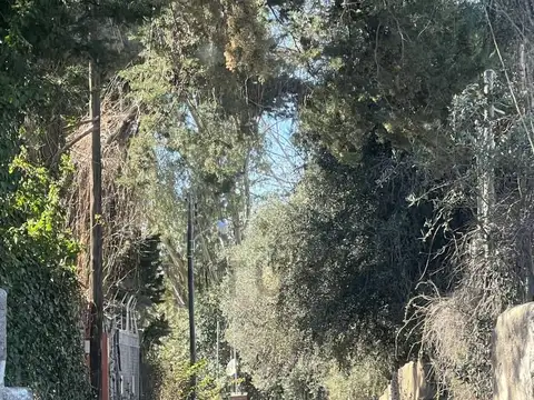 Venta de Exclusivo casco de 3 has en Villa Amalia, Rivadavia, ciudad de mendoza