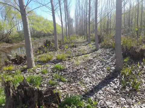 Terreno en Venta en Zona Delta San Fernando, USD 34.000