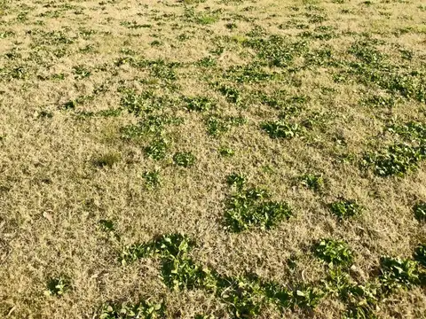 Terreno en Venta en Santa Ines, USD 27.900