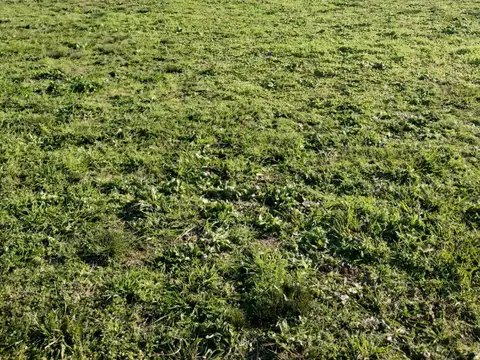 Terreno en Venta de 2000,0 m2