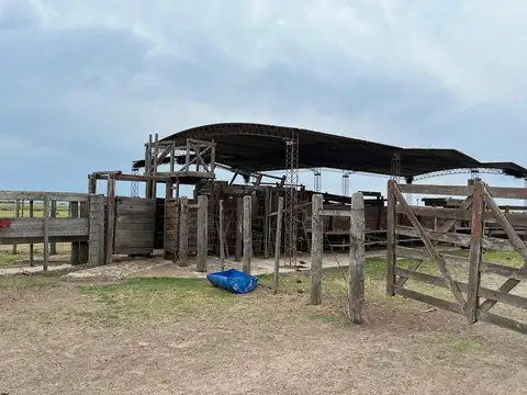 Venta de Campo - 15.000 Hectáreas -