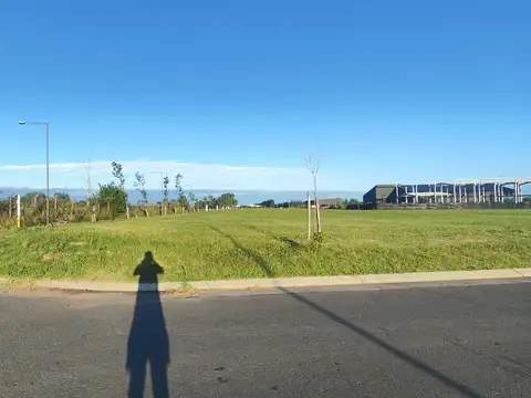 Terreno en Venta 40  mts Frente